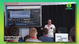 J-Spring 2019: Emond Papegaaij – Oauth2 demystified